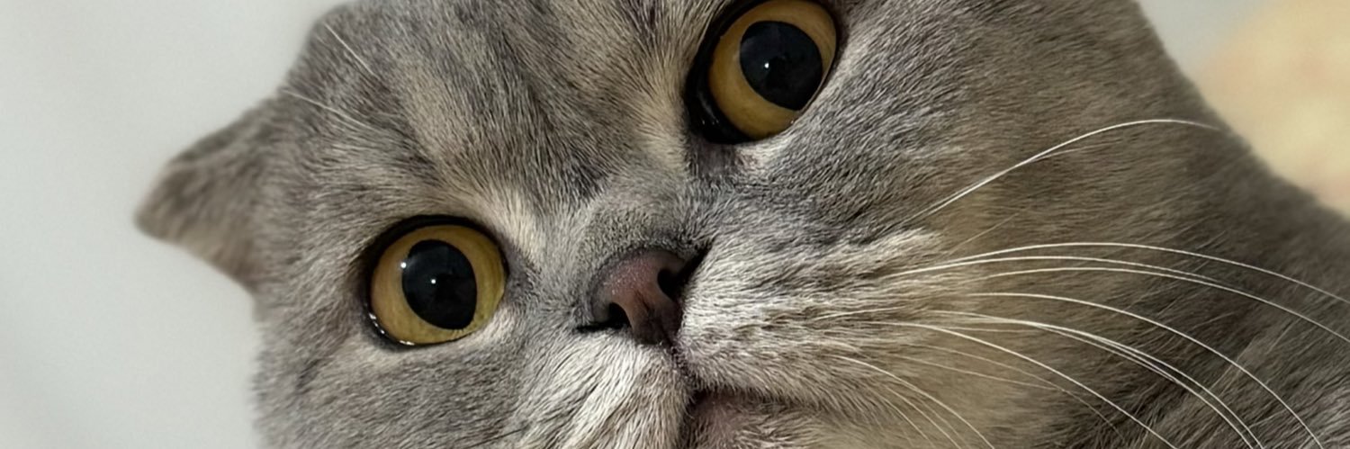 maviwos's profile banner image