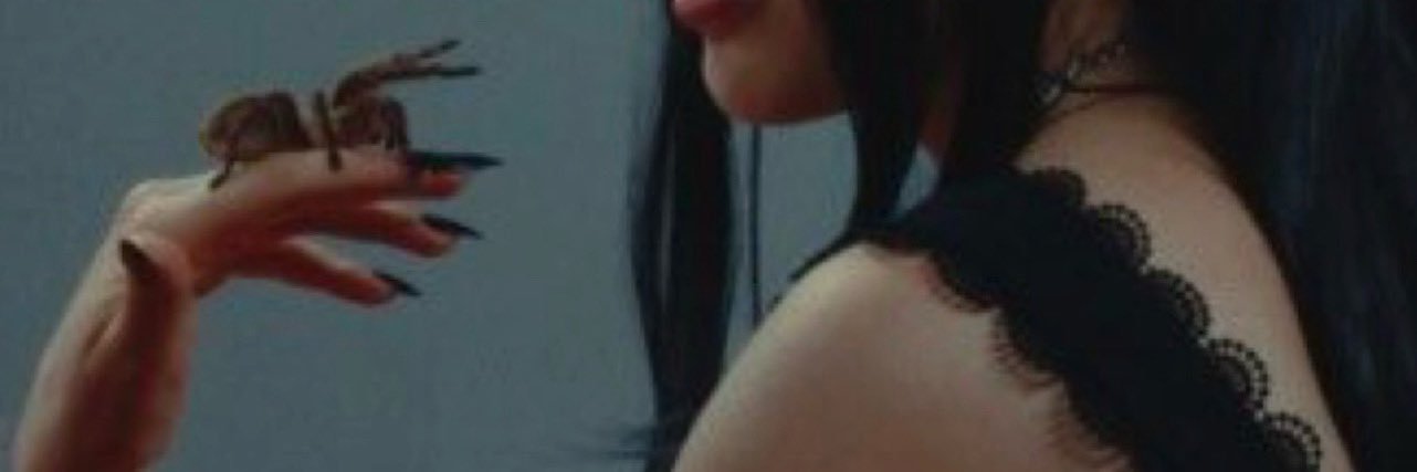 anaexgrace_ banner