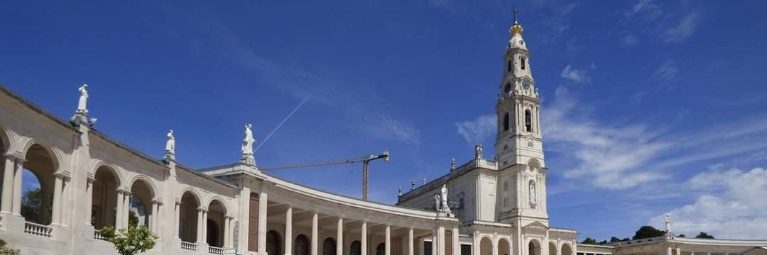 mauroteres's profile banner image
