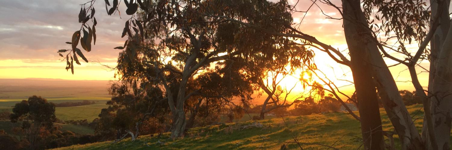 patrick redden banner