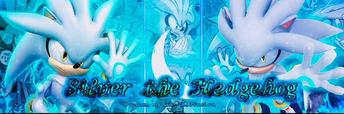Silver The Hedgehog's banner