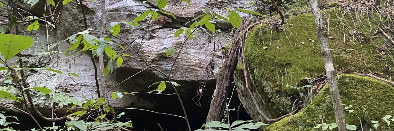 OriginalZach's profile banner image