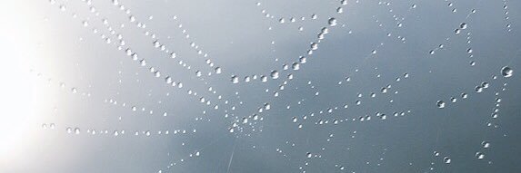 ledgefollicles's profile banner image