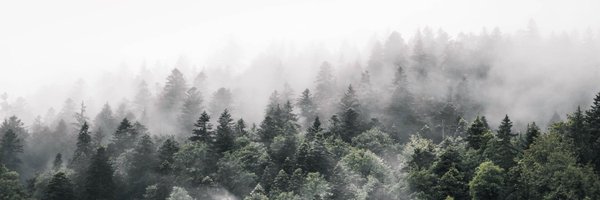 Intertribal_TC Profile Banner