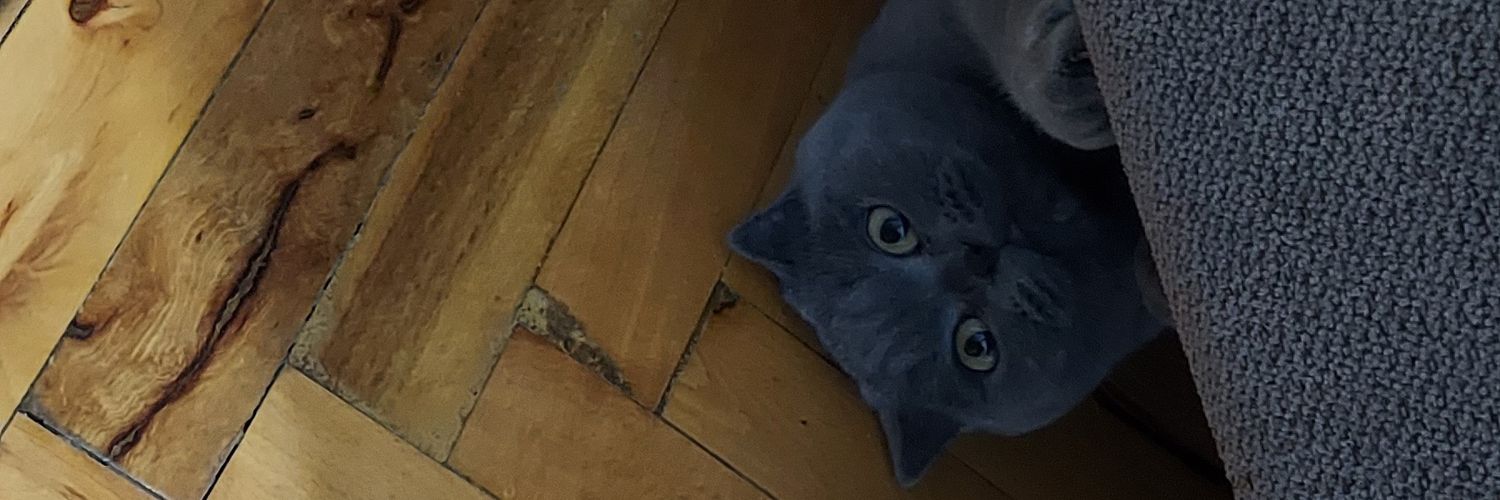aslisir's profile banner image