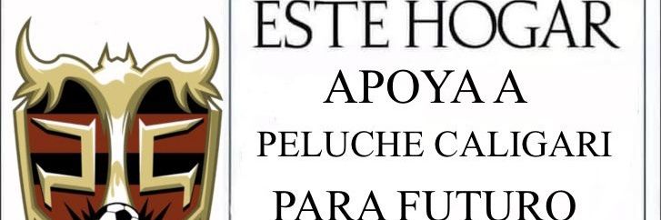 FABRIZIO BRUJO banner