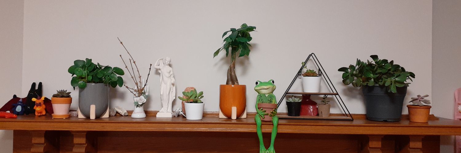 KirchEmily's profile banner image