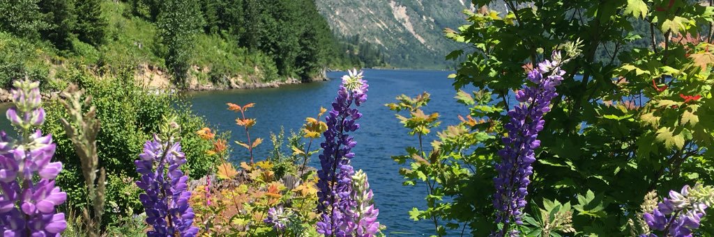 Cherisespears's profile banner image
