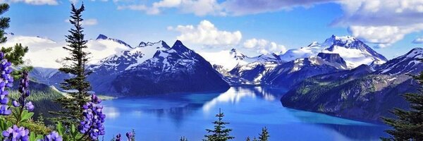 ghani_b Profile Banner