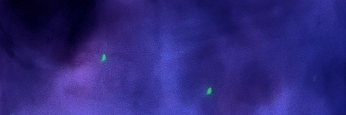 jeon's banner