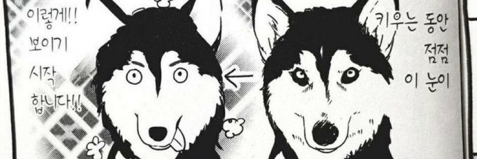 0qi_zy's profile banner image