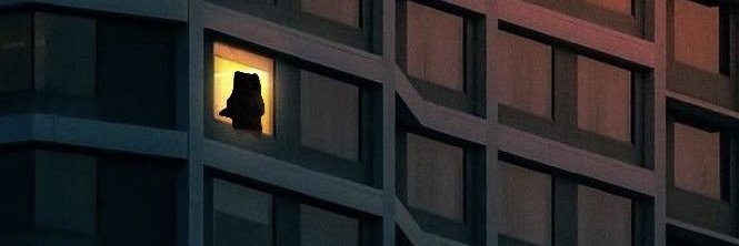 The Quant🐝 banner