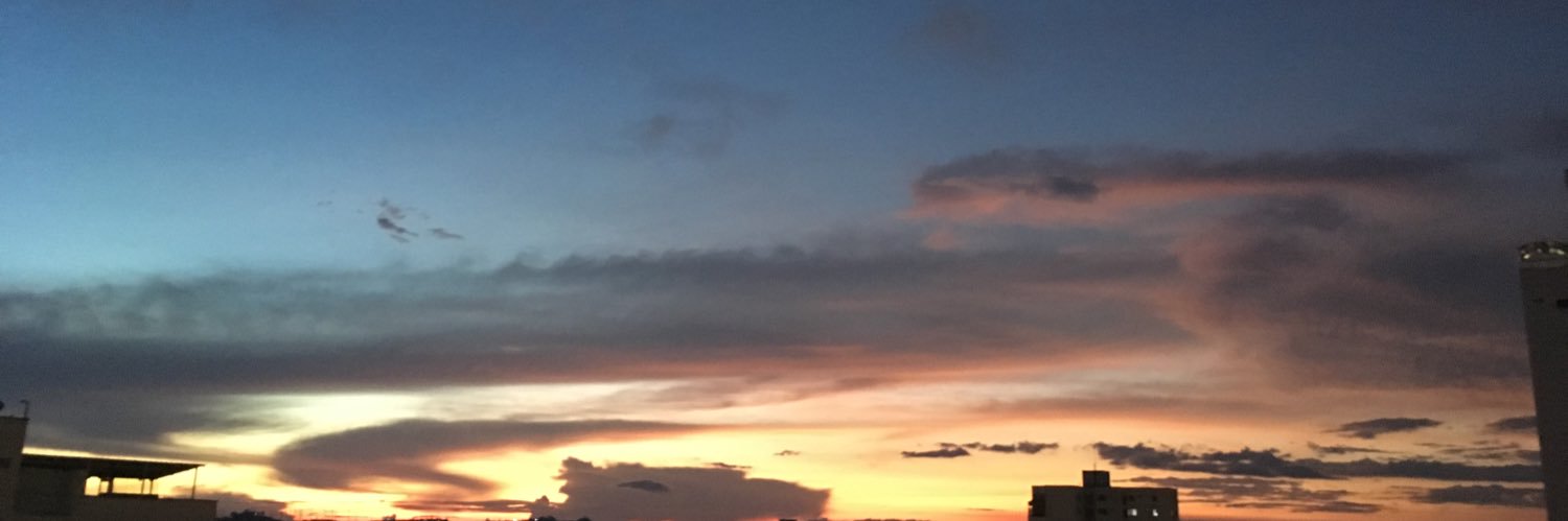 CaroToscano's profile banner image