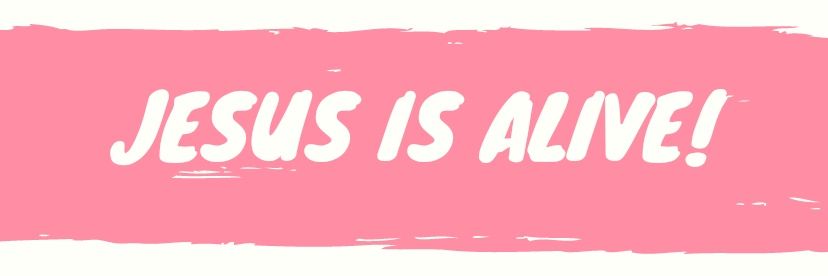 Palomalrc's profile banner image
