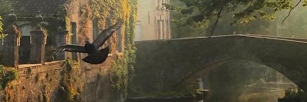 steven196459 Profile Banner