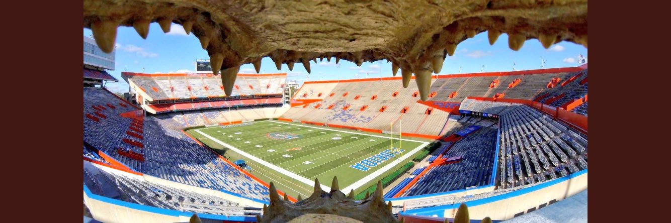 GatorBert7's profile banner image
