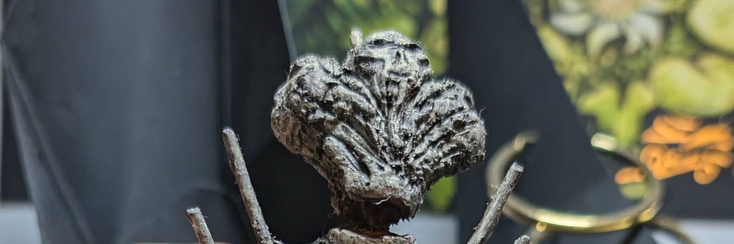 Stroumpf's banner