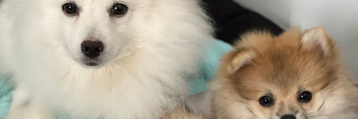 suoh97's profile banner image