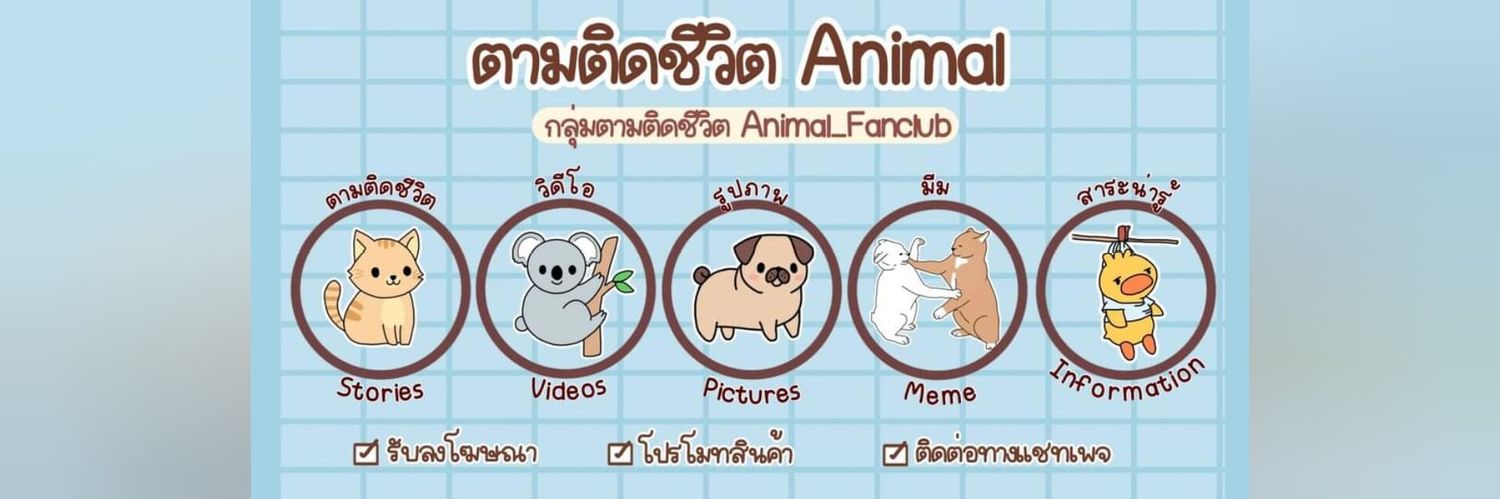ตามติดชีวิตAnimal's banner