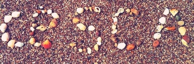 *•.¸♡ ℂ𝕖𝕤𝕔𝕒 ♡¸.•* banner