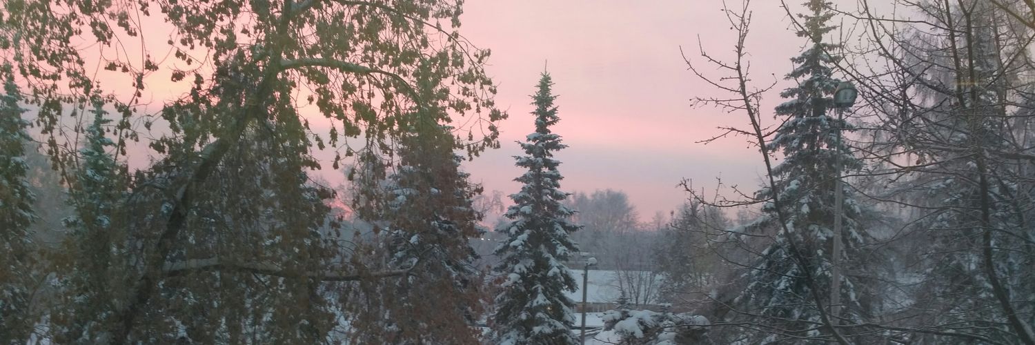 ushmidt30's profile banner image