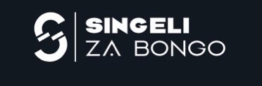Singeli za Bongo's banner