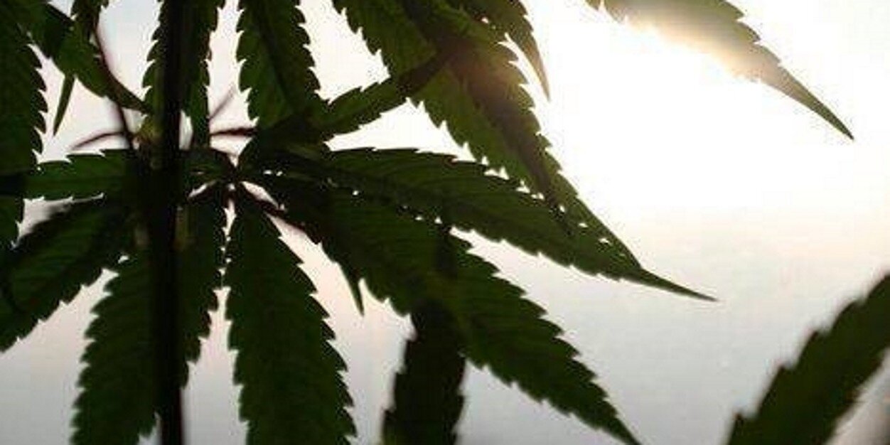 bluntedviewz's profile banner image