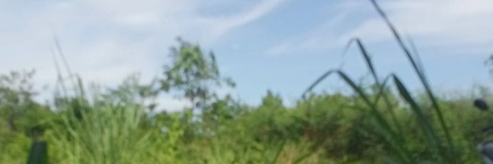 HawciPun92241's profile banner image