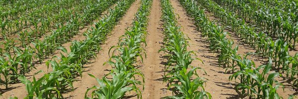 SCSAgronomy Profile Banner