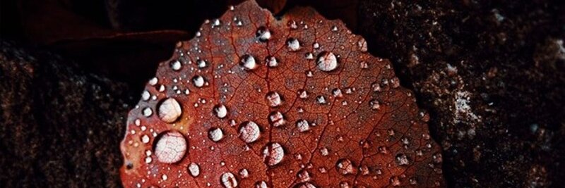 OPartee3153's profile banner image