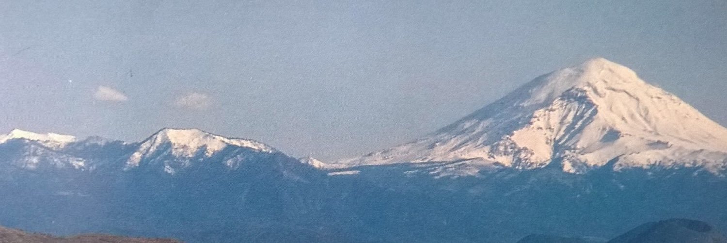lolivare's profile banner image
