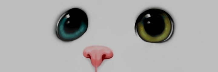 Ailed 🔸️ banner