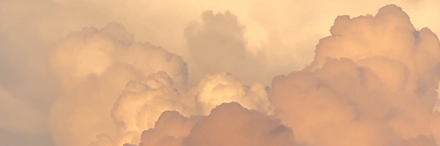 anoelocin's profile banner image