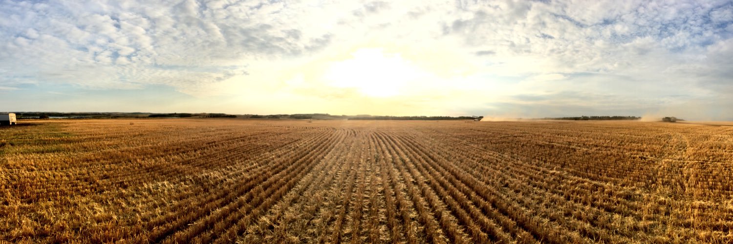 BrandieGeorget's profile banner image