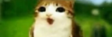 mistuzy's profile banner image