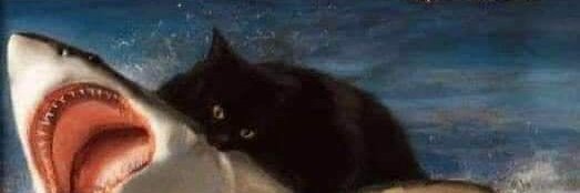 Mayra Correia banner