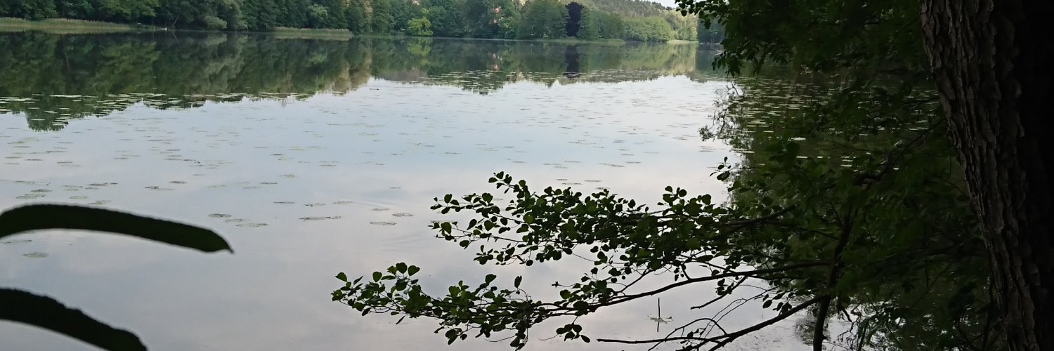 CC will ins Grüne 🍋🍀🌲🐰🌳 banner