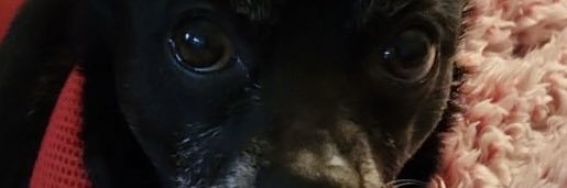 BlessedBoomer49's profile banner image