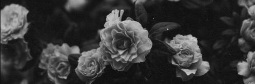 _Jasmineee_280_'s profile banner image