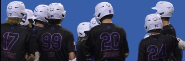 Motor City Hitdogs Meier 15u banner