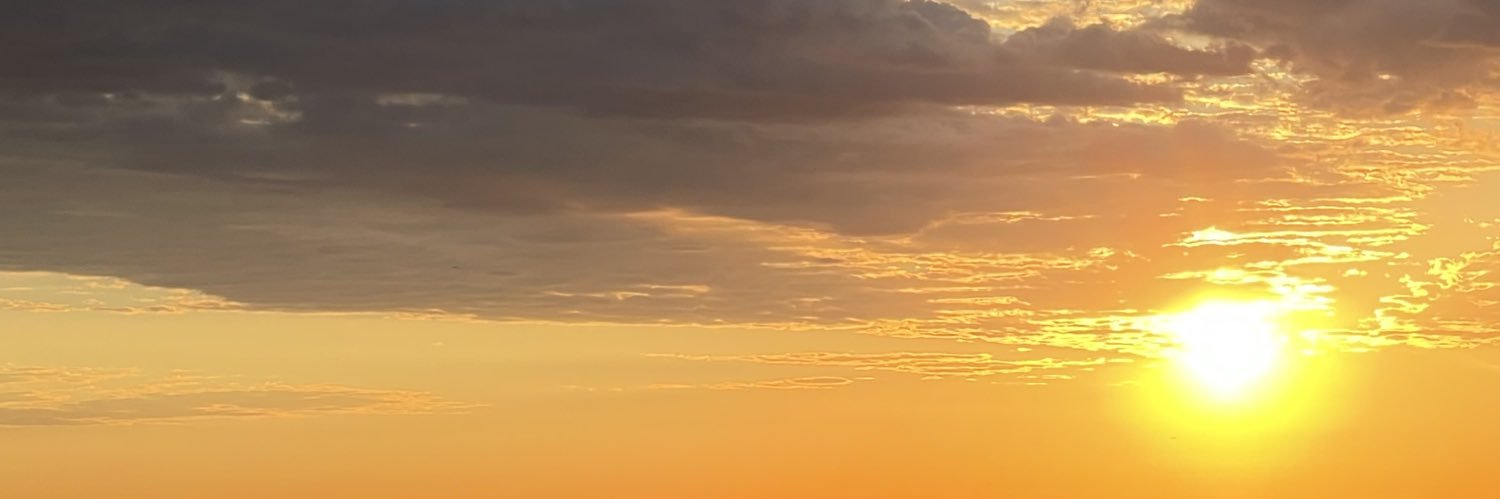 andreazee banner