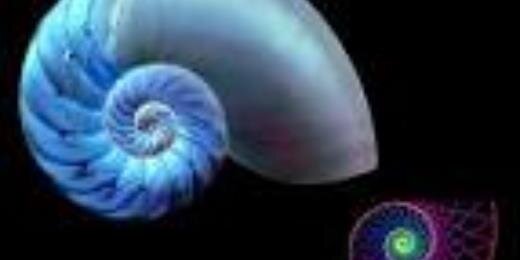fernandochime's profile banner image