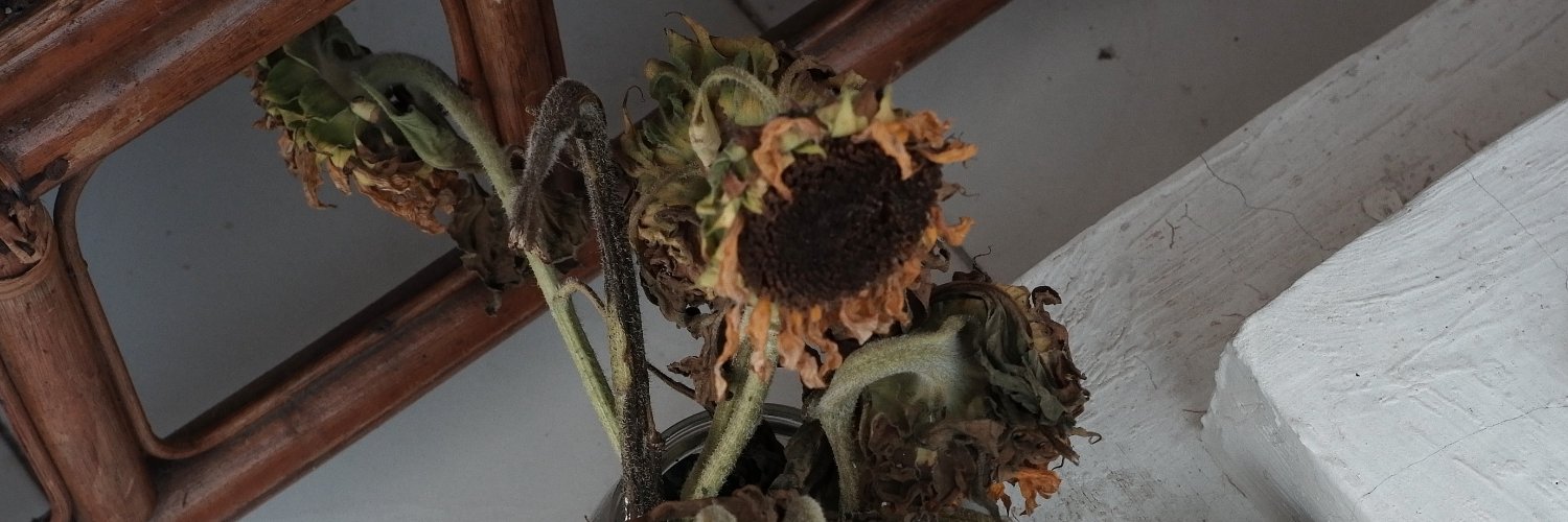 Widya, Kurnia (❀❛ ֊ ❛„) banner