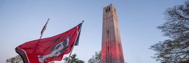 Raleigh’s Red's banner