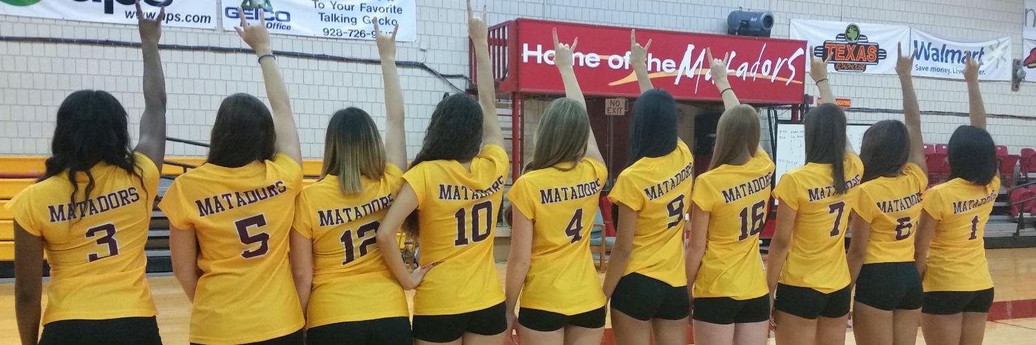 AWCVolleyball's profile banner image
