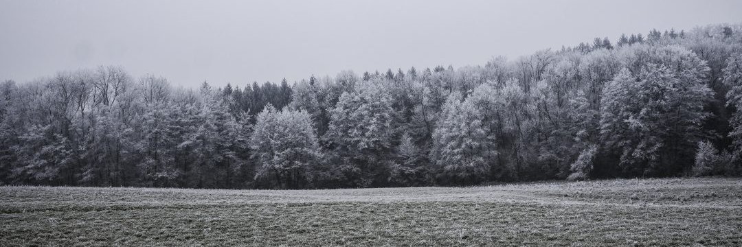 elving's profile banner image