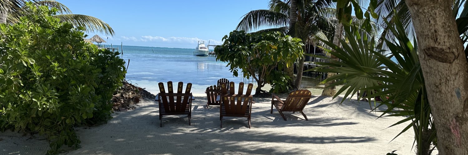 Gandy 🍌🦆 banner