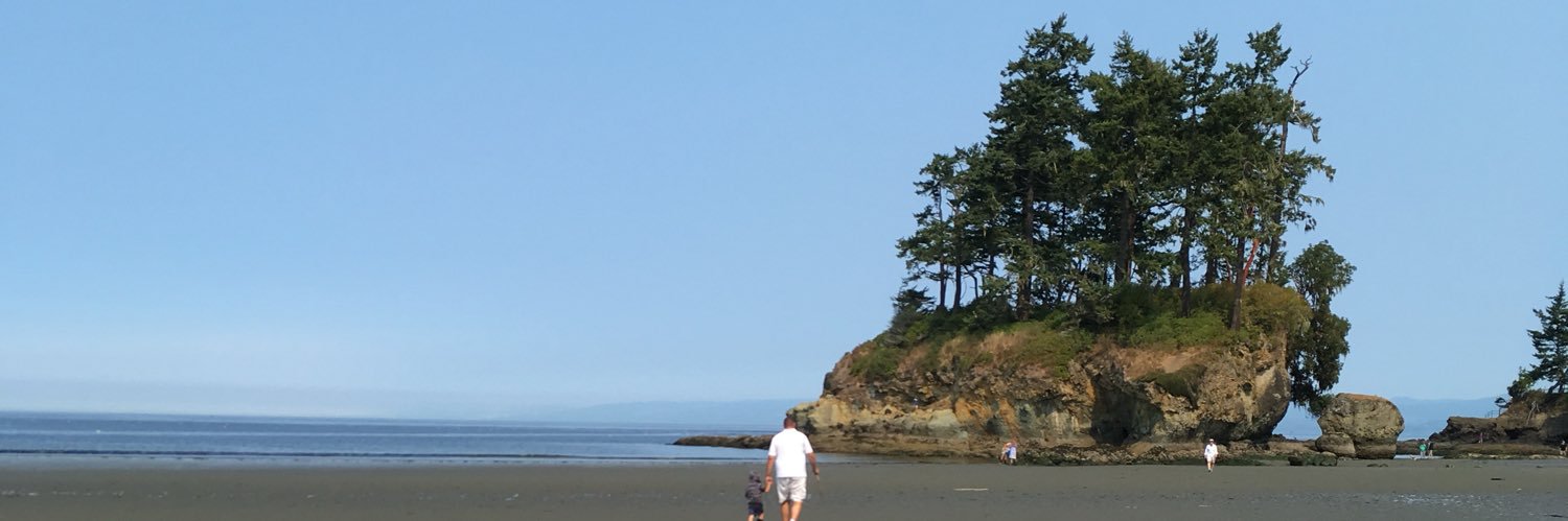 Stephanie Wilson banner