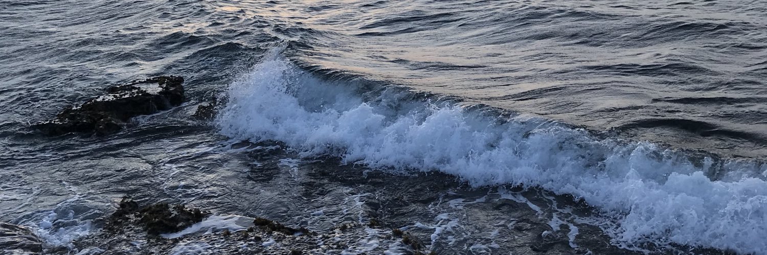 maliaspear's profile banner image