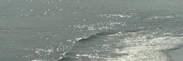 min__n22 Profile Banner